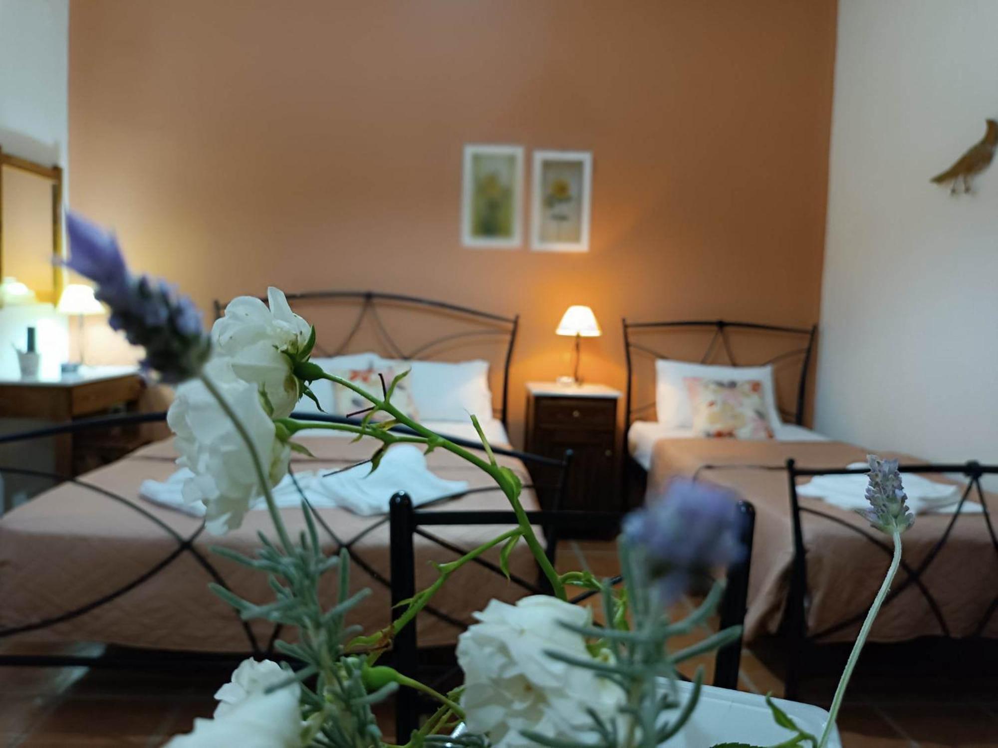 Katikies Stamatias & Maisonettes Apartment Agnontas