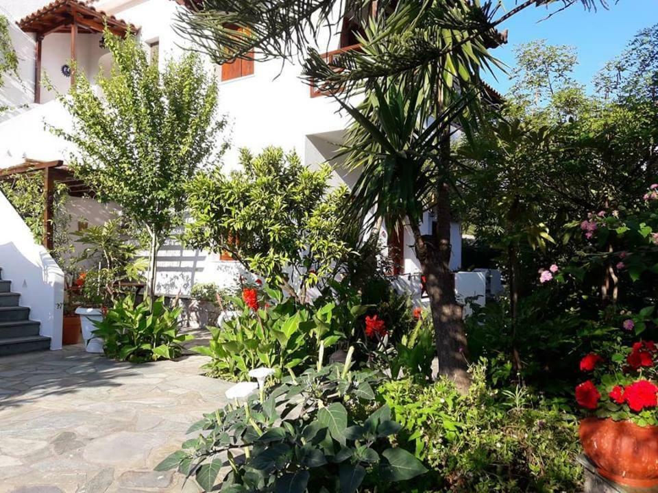 Apartment Katikies Stamatias & Maisonettes